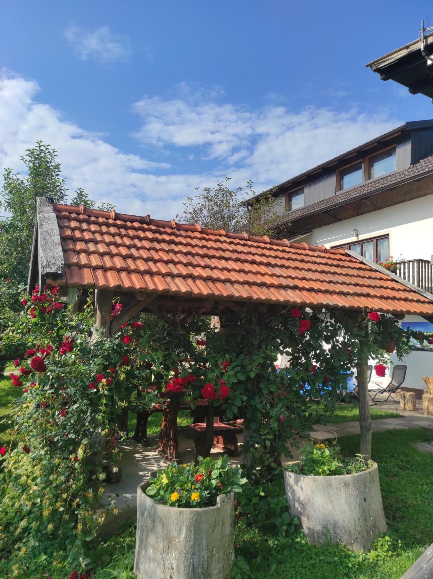 Apartman Leona Rakovica Bagian luar foto